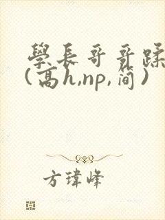 学长哥哥蹂躏你(高h,np,简)