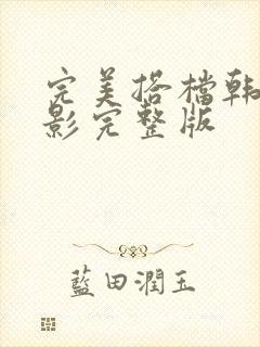 完美搭档韩国电影完整版封面