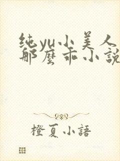 纯yu小美人他那么乖小说封面