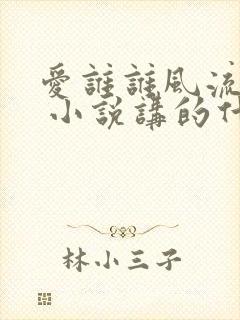 爱谁谁风流书呆 小说讲的什么