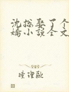 沈总娶了个小娇娇小说全文免费阅读