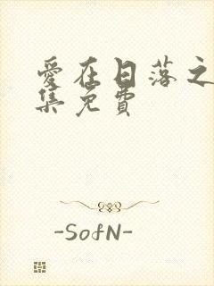 爱在日落之前全集免费