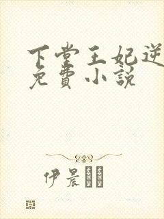 下堂王妃逆袭记免费小说封面