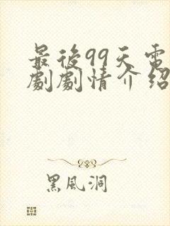 最后99天电视剧剧情介绍