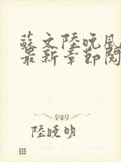 苏文陆晚风小说最新章节阅读封面