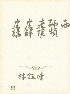 皮皮老师西游记讲解视频