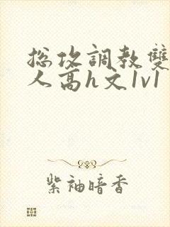 总攻调教双性美人高h文1v1