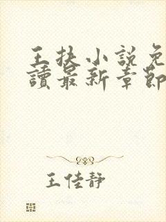 王扶小说免费阅读最新章节无弹窗封面