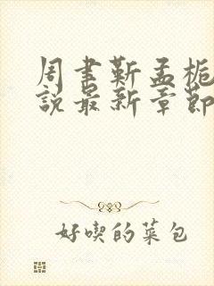 周聿靳孟栀意小说最新章节免费阅读