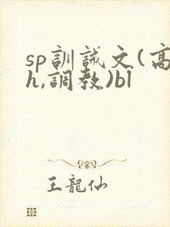 sp训诫文(高h,调教)bl