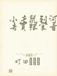 小老鼠到河对岸去买粮食看图写话