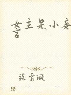 女主是小妾的古言