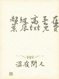 超级高手在都市叶辰txt免费下载