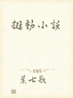 挺动小说