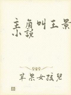 主角叫王景硕的小说封面