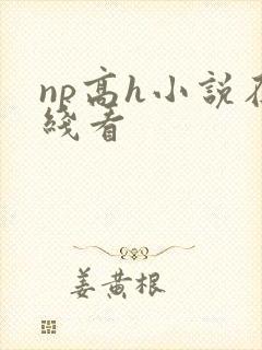 np高h小说在线看