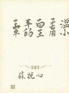 王平白柔温婉肖军的主角小说免费阅读下载封面