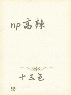 np高辣