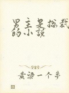 男主是总裁姓盛的小说