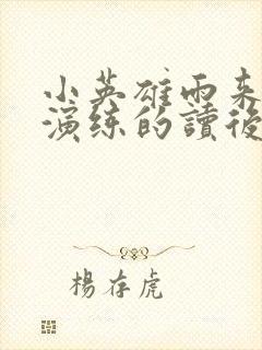 小英雄雨来军事演练的读后感