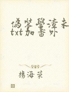 伪装学渣未删减txt加番外封面