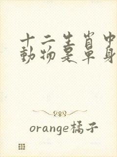 十二生肖中那个动物是单身的