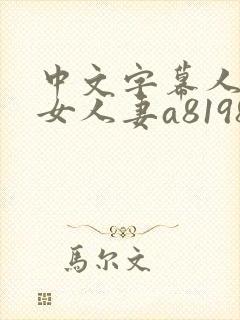 中文字幕人妻熟女人妻a8198v