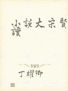 小说大宋贤王阅读