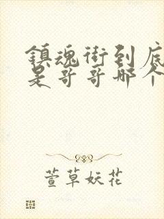 镇魂街到底哪个是哥哥哪个是弟弟