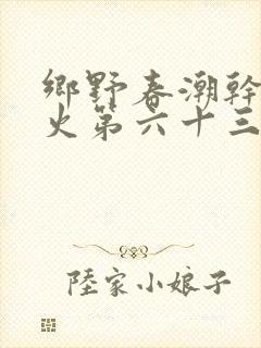 乡野春潮干柴烈火第六十三章封面