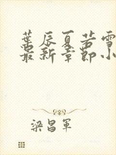 叶辰夏若雪孙怡最新章节小说下载封面