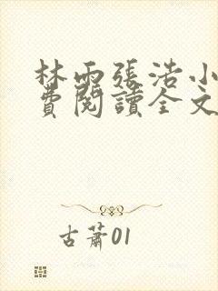 林雨张浩小说免费阅读全文最新章节封面