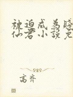 被迫成为贱妾的仙君小说免费阅读最