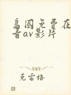 岛国免费在线观看av影片