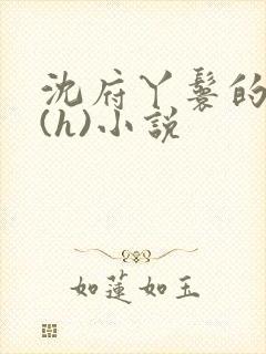 沈府丫鬟的淫史(h)小说