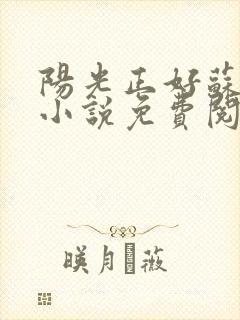 阳光正好苏玥玥小说免费阅读无弹窗