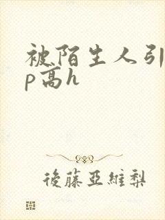 被陌生人引诱np高h