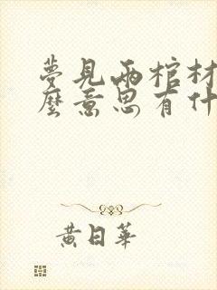 梦见两棺材是什么意思有什么预兆