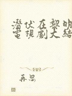 潜伏在黎明之前电视剧大结局