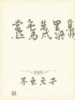 当年万里觅封侯.匹马戍梁州封面