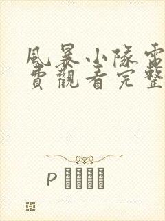 风暴小队电影免费观看完整版国语版高清