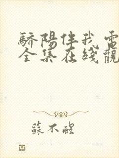 骄阳伴我电视剧全集在线观看免费