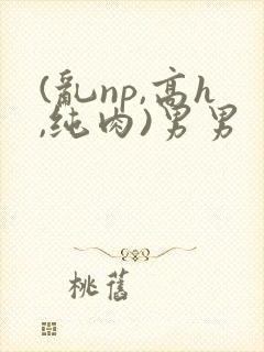 (乱np,高h,纯肉)男男