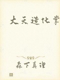 大天造化掌封面