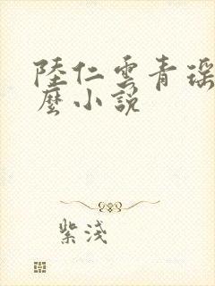 陆仁云青瑶是什么小说