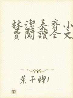 林洁秦齐小说免费阅读全文最新章节