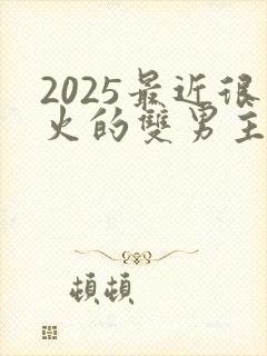 2025最近很火的双男主