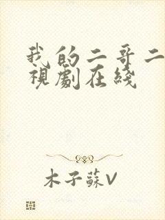 我的二哥二嫂电视剧在线