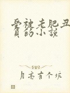 受被老肥丑攻欺负的小说封面