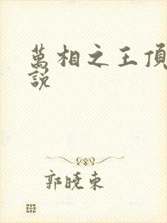 万相之王顶点小说